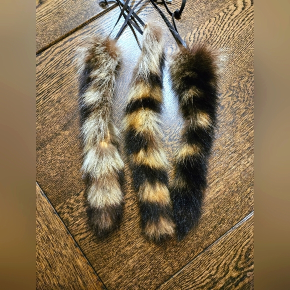 Raccoon Tails! - Picture 2 of 5